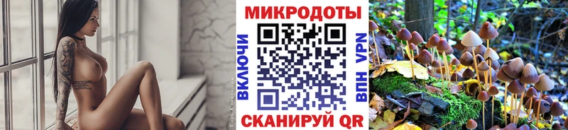 Галлюциногенные грибы мухоморы  Заозёрный 